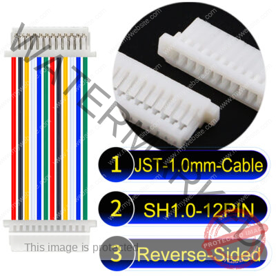 JST SH1.0 12Pin Reverse-Side-Head Cable